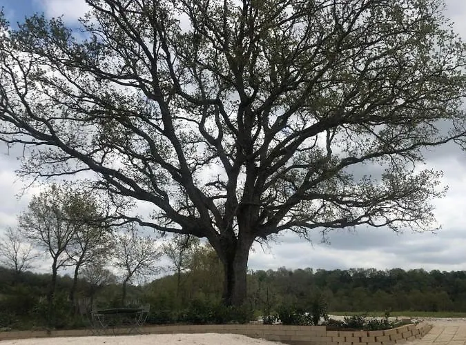 Antiglia Farmház Sovana